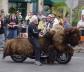 Motorcycle buffalo
