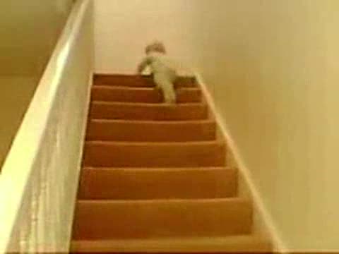 Baby Sliding Down Stairs