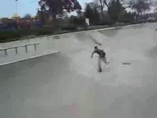 Skater Flips Fence