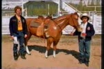 Utah State Fair